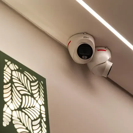 Security Cameras