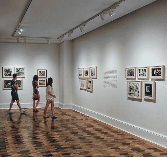 Exposiciones y recorridos culturales