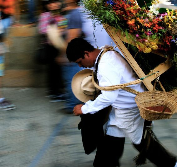 Discover the best experiences Medellín has to offer