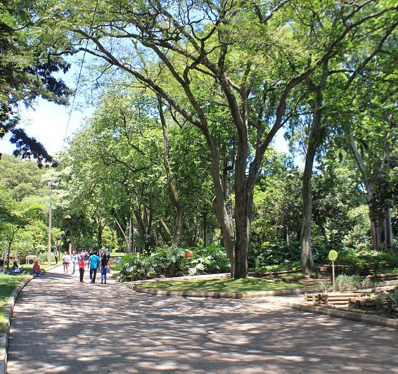 Medellin Botanical Garden
